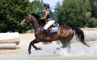 Horse Trials Avenches