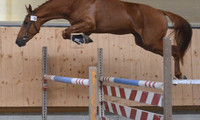 Quidam vom Ilum