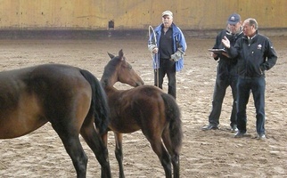 Schau_Jura_2010