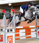 Les chevaux suisses des deux fédérations participeront aux finales à Avenches et à Chevenez 